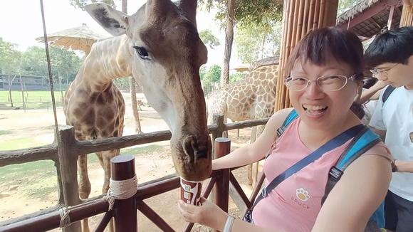 越南富國島富國大世界．珍珠野生動物園（Vinpearl Safari）