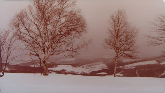 北海道小樽天狗山滑雪場 山腰優美雪景