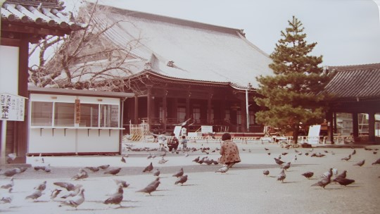 京都西本願寺