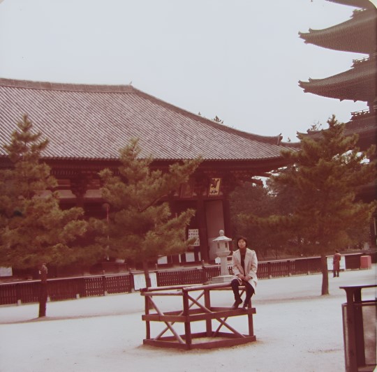 奈良寺院、神社