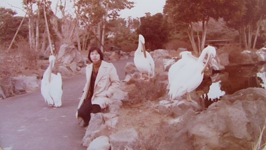 熱海市 伊豆仙人掌熱帶公園