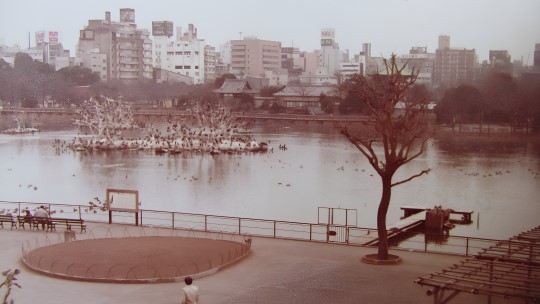 東京上野公園
