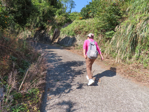 登上 御輿来海岸展望所