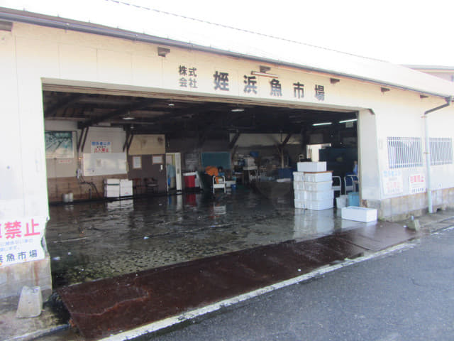 姪浜魚市場
