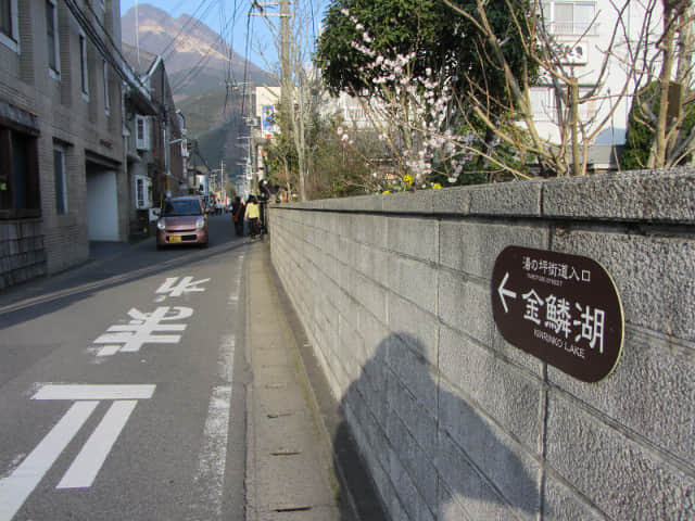 由布院 湯の坪街道