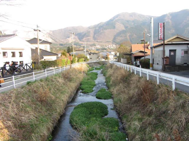 由布院 湯の坪街道、湯之坪川