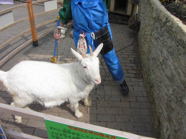 由布院．Yufuin Floral Village 動物園