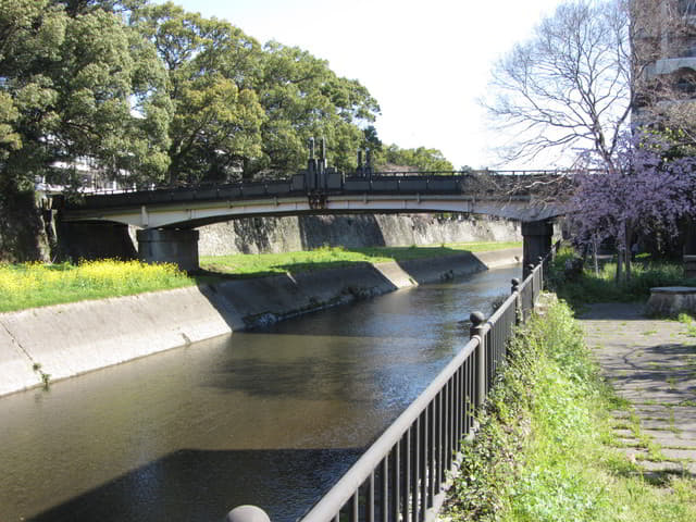 熊本市坪井川．坪井川遊步道