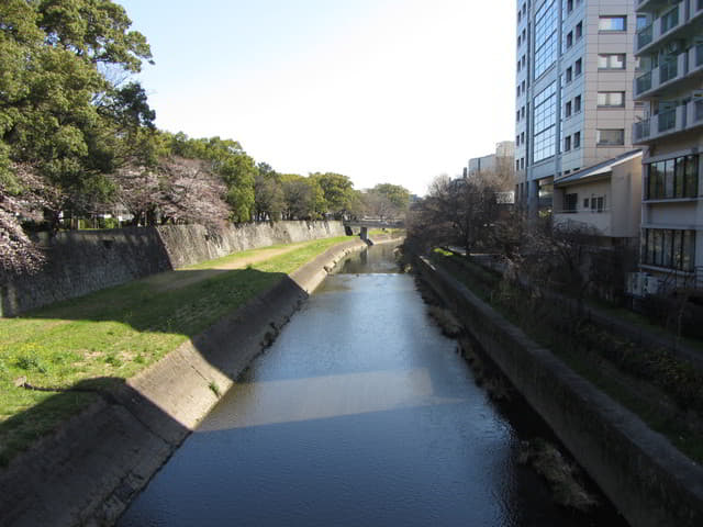 熊本市坪井川．坪井川遊步道