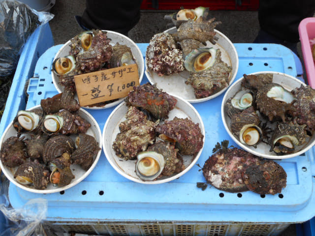 呼子朝市