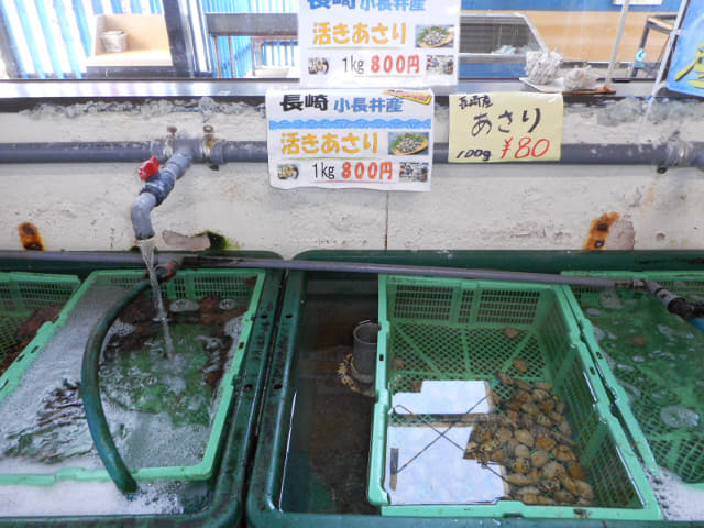 唐津市 名護屋城博物館入口．桃山天下市道の駅