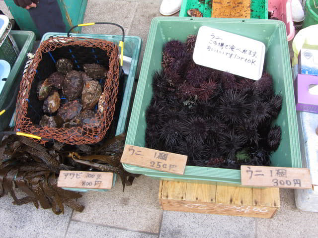 呼子朝市