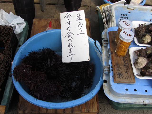 呼子朝市