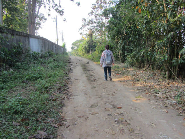 清萊 黑廟 步行往 Somdet Phra Park 及 Nong Bua 湖