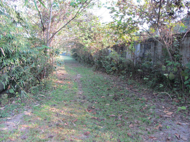 清萊 黑廟 步行往 Somdet Phra Park 及 Nong Bua 湖