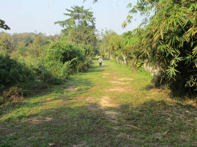 清萊 黑廟 步行往 Somdet Phra Park 及 Nong Bua 湖
