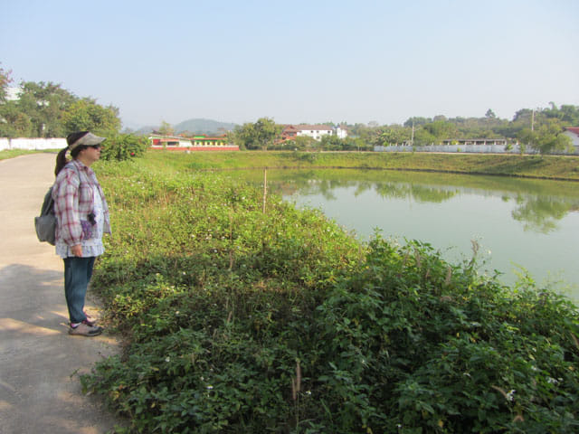 清萊黑廟步行到 Somdet Phra Park、Nong Bua 湖