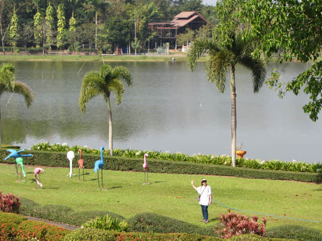 清萊 Somdet Phra Park、Nong Bua 湖