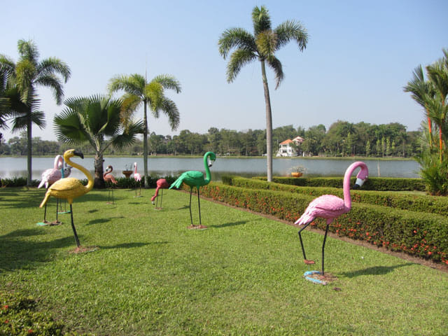 清萊 Somdet Phra Park、Nong Bua 湖