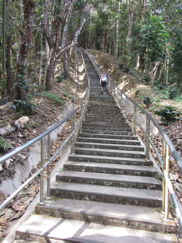 清萊美斯樂 皇太后陵寢登山步道