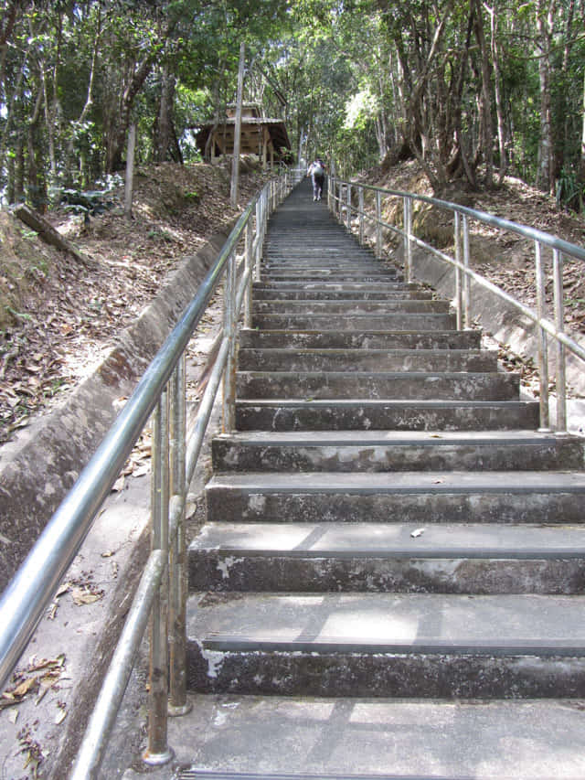 清萊美斯樂 皇太后陵寢登山步道