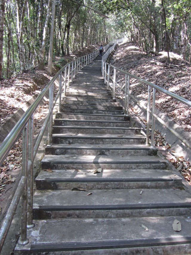 清萊美斯樂 皇太后陵寢登山步道