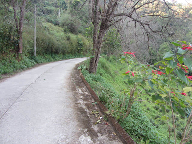 清萊美斯樂 段希文將軍陵園 登山步道
