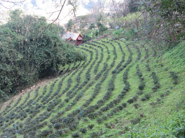 清萊美斯樂 段希文將軍陵園 登山步道