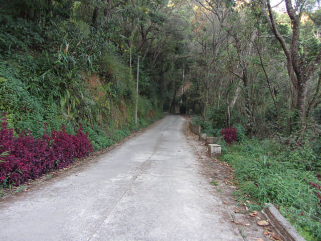 清萊美斯樂 段希文將軍陵園 登山步道