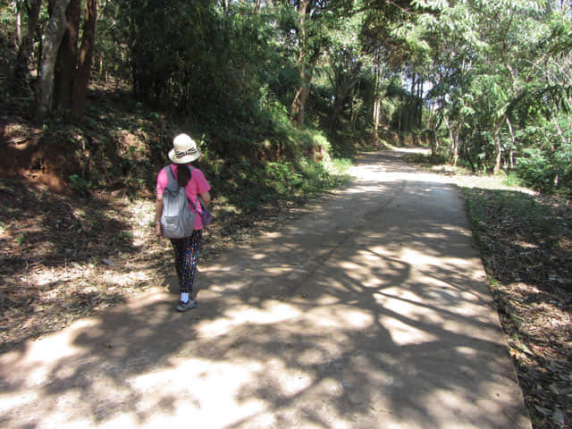 清萊 美斯樂山谷 遠足