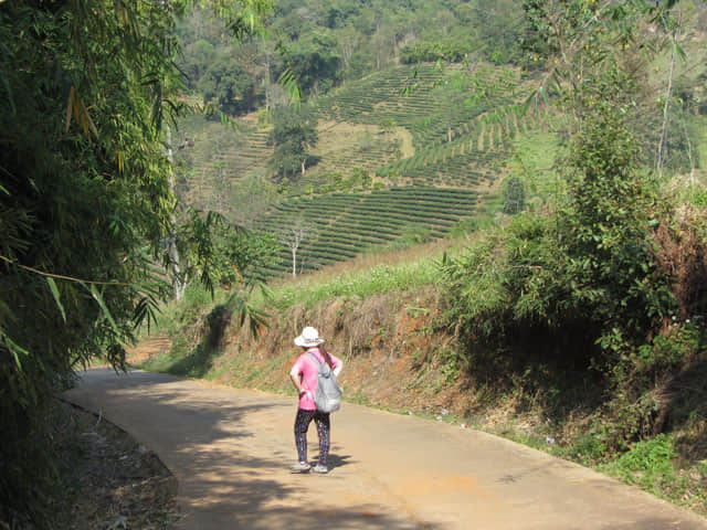 清萊 美斯樂深山 遠足