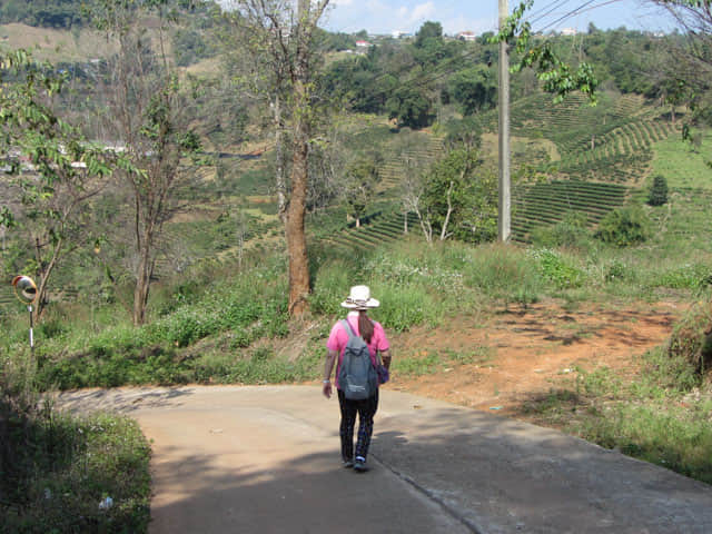 清萊 美斯樂深山 遠足