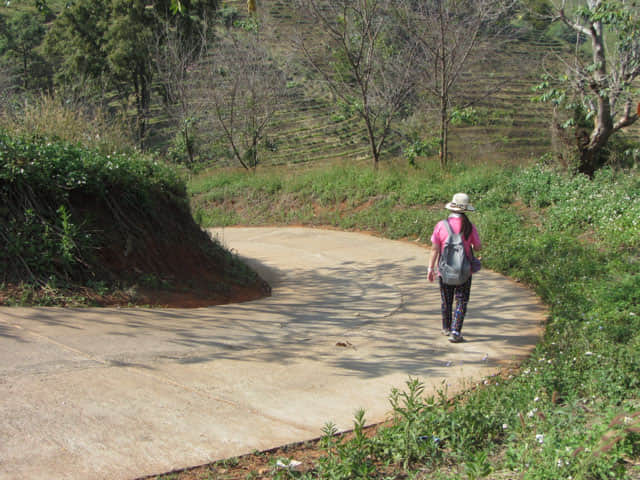 清萊 美斯樂深山 遠足