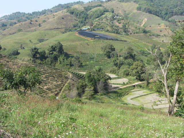清萊 美斯樂深山 遠足 山谷