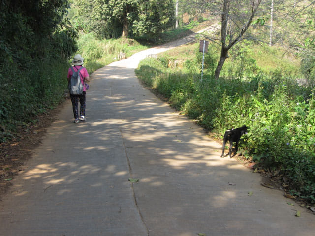 清萊 美斯樂深山 遠足