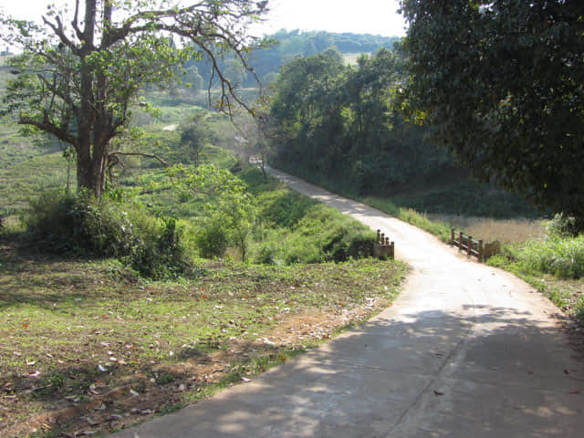 清萊 美斯樂深山 遠足