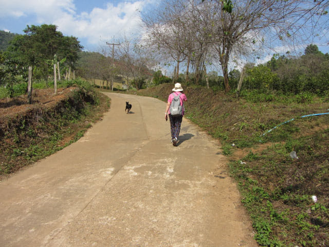 清萊 美斯樂深山 遠足 登山