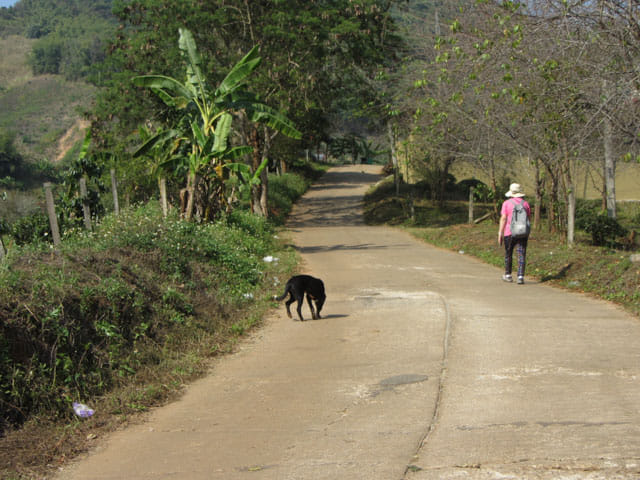 清萊 美斯樂深山 遠足 登山