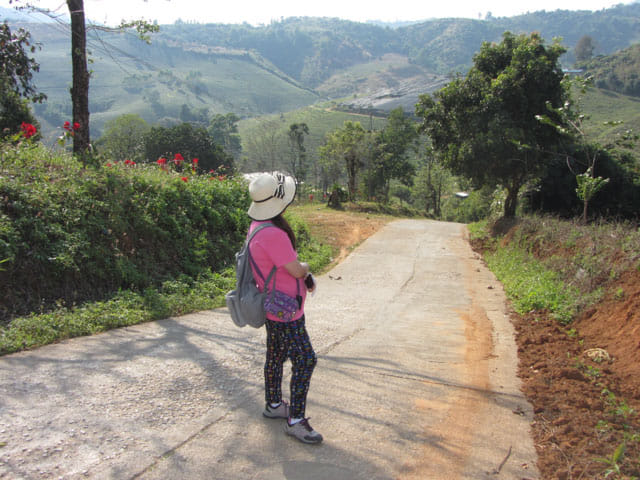 清萊 美斯樂深山 遠足 登山