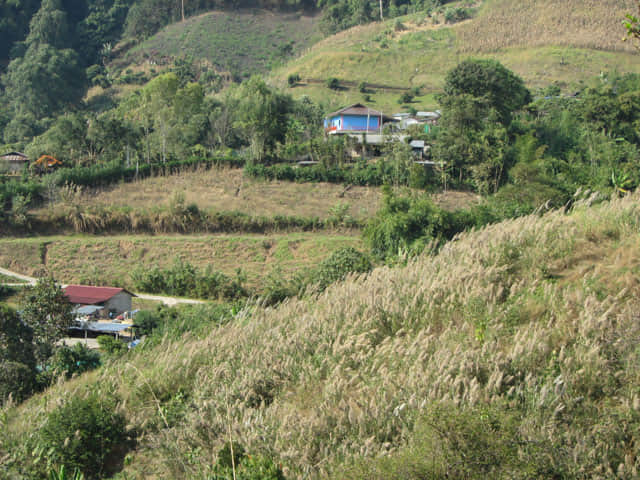 清萊 美斯樂深山 遠足 登山
