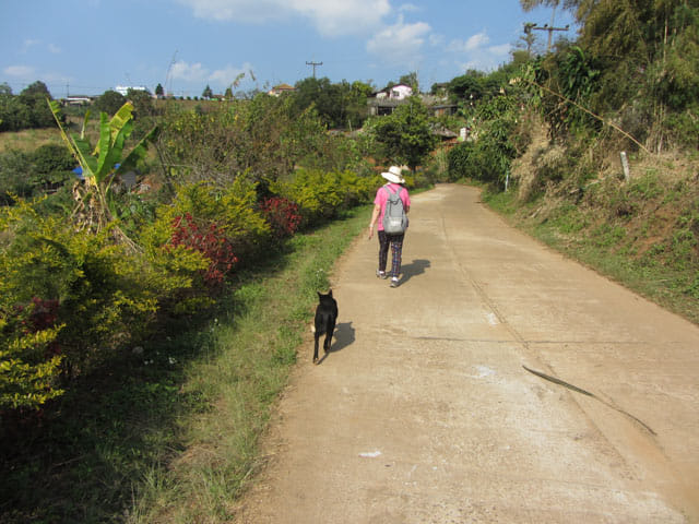 清萊 美斯樂深山 遠足 登山