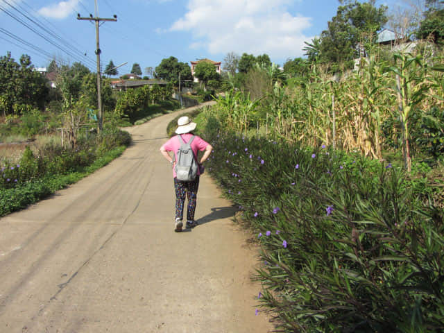 清萊 美斯樂深山 遠足 登山 玉米田