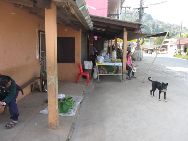 美斯樂芒崗村 1130主幹公路分叉路口