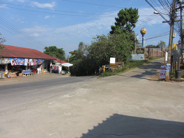 步行往美斯樂 101 茶園