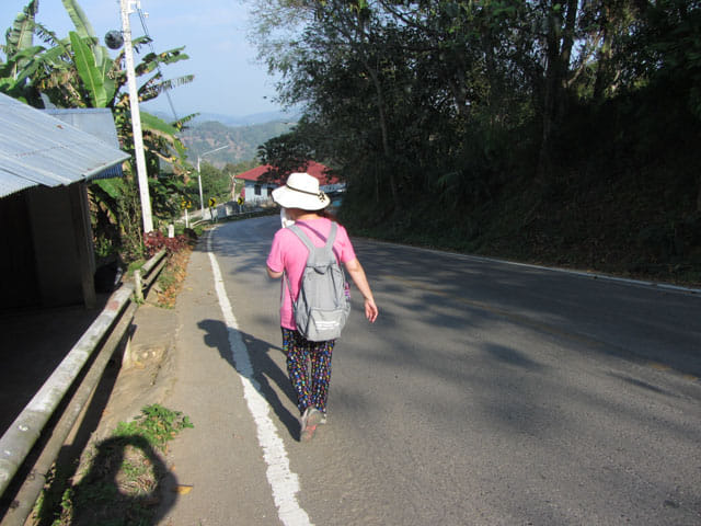 步行往美斯樂 101 茶園