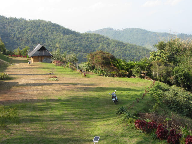 步行往美斯樂 101 茶園