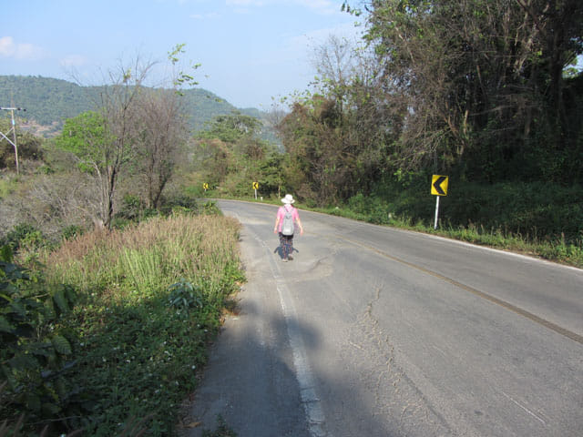 步行往美斯樂 101 茶園