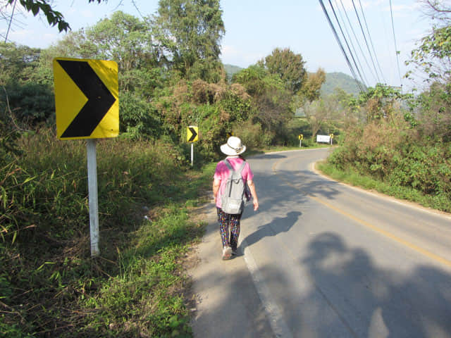 步行往美斯樂 101 茶園