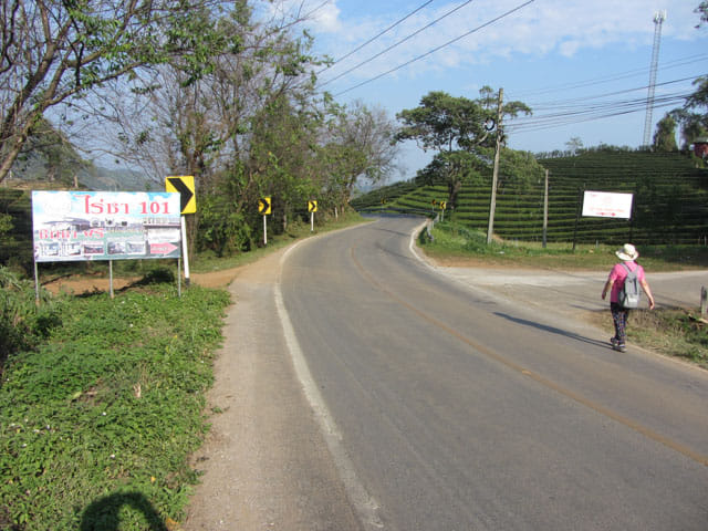 美斯樂 101 茶園