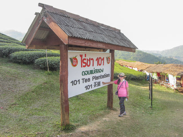 美斯樂 101 茶園